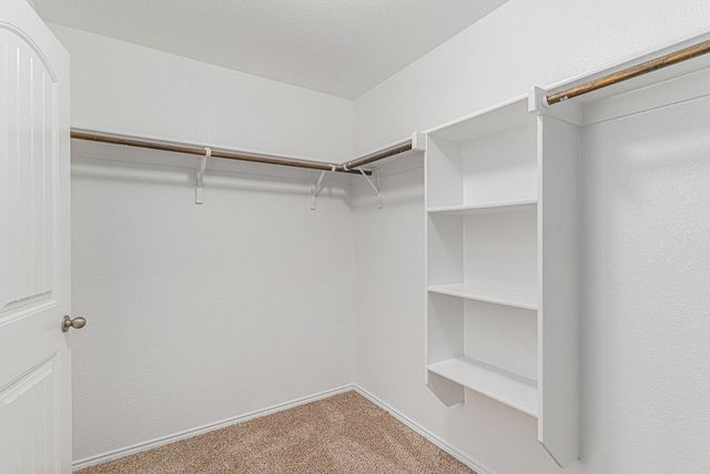 8824 Prairie Dawn Drive, Fort Worth, TX 76131