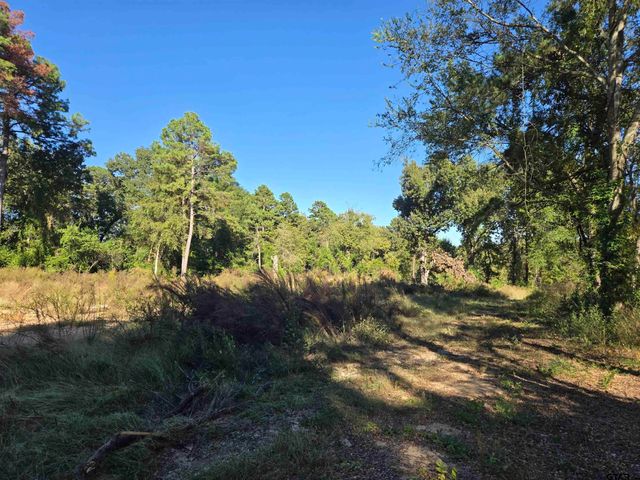 14220 CR 434, Lindale, TX 75771