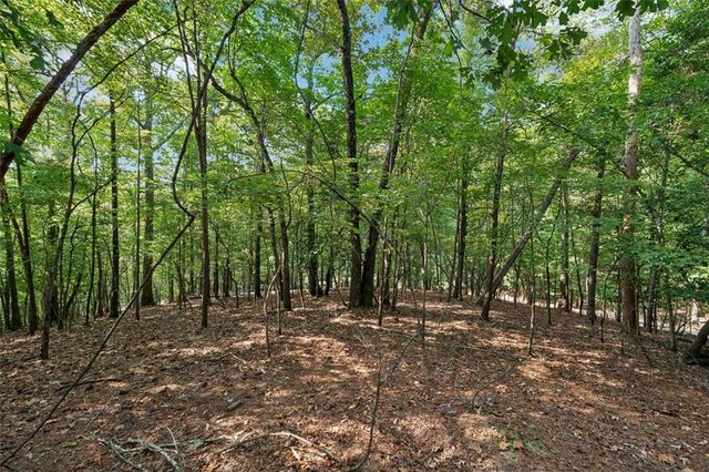 10 MORLEY Drive, Ellijay, GA 30540
