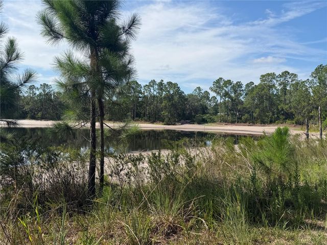 TBD MALAUKA PASS TRAIL, Ocklawaha, FL 32179