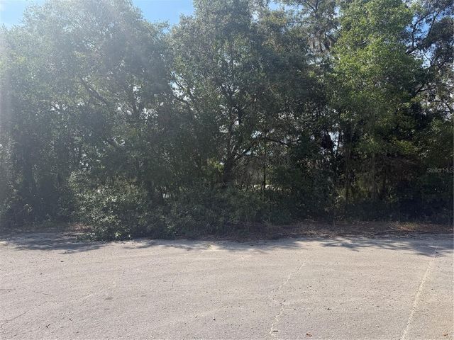 TBD MALAUKA PASS TRAIL, Ocklawaha, FL 32179