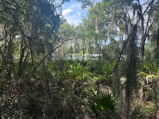TBD MALAUKA PASS TRAIL, Ocklawaha, FL 32179