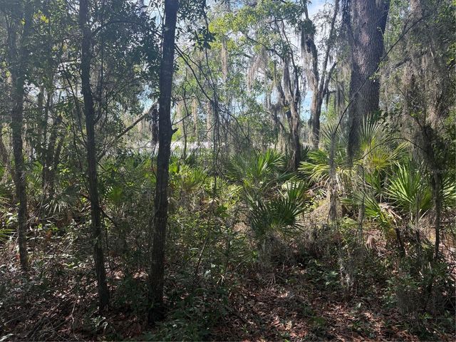 TBD MALAUKA PASS TRAIL, Ocklawaha, FL 32179