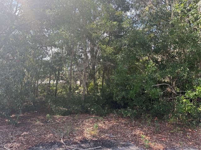 TBD MALAUKA PASS TRAIL, Ocklawaha, FL 32179