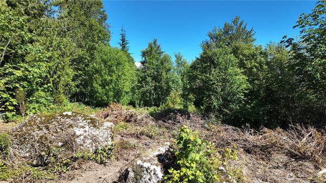 45028 Baker Lake Road, Concrete, WA 98237