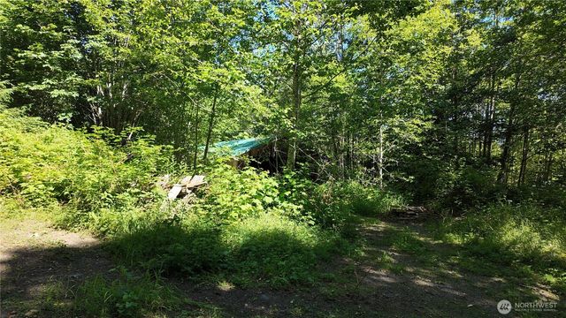 45028 Baker Lake Road, Concrete, WA 98237