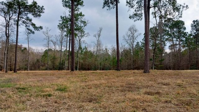 TBD Noah Court, Huntsville, TX 77320