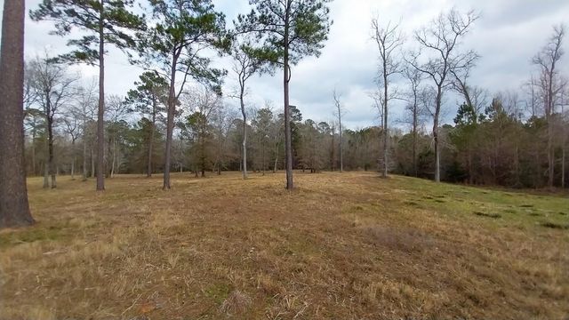 TBD Noah Court, Huntsville, TX 77320