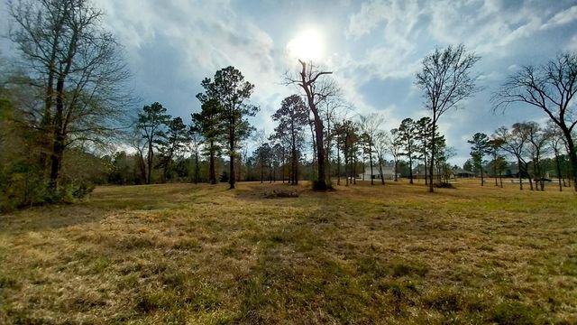 TBD Noah Court, Huntsville, TX 77320