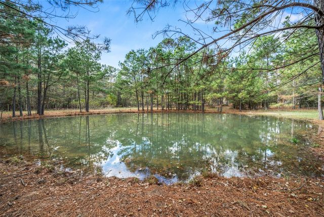 17709 W Terrace Oaks Drive, Waller, TX 77484