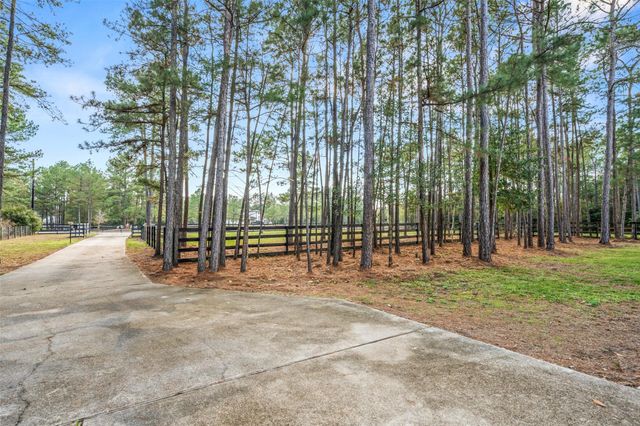 17709 W Terrace Oaks Drive, Waller, TX 77484