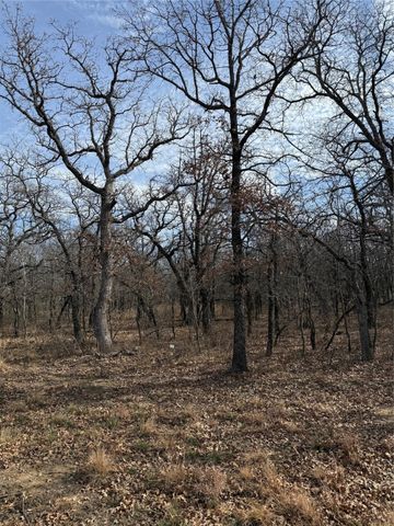 0 Miller Court, Runaway Bay, TX 76426