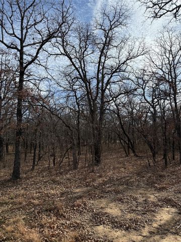 0 Miller Court, Runaway Bay, TX 76426