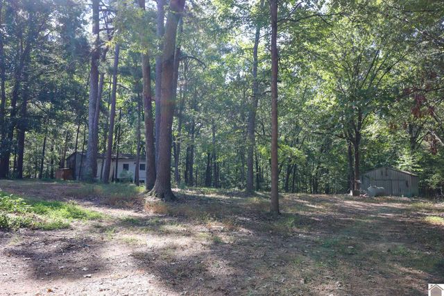 4256 Barge Island Rd., Benton, KY 42025