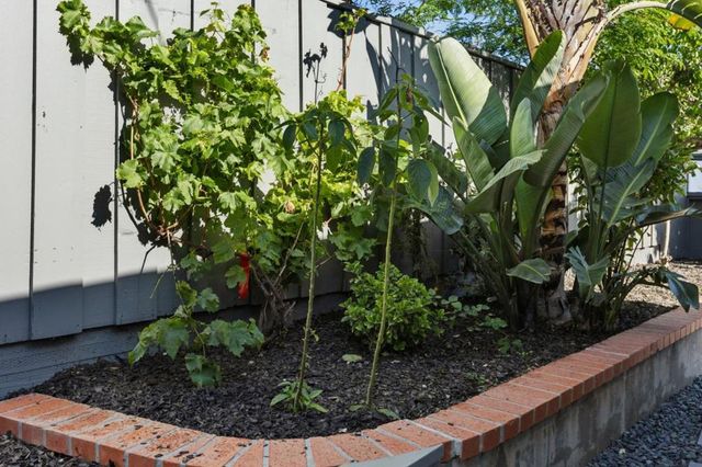 1751 Celeste Drive, San Mateo, CA 94402