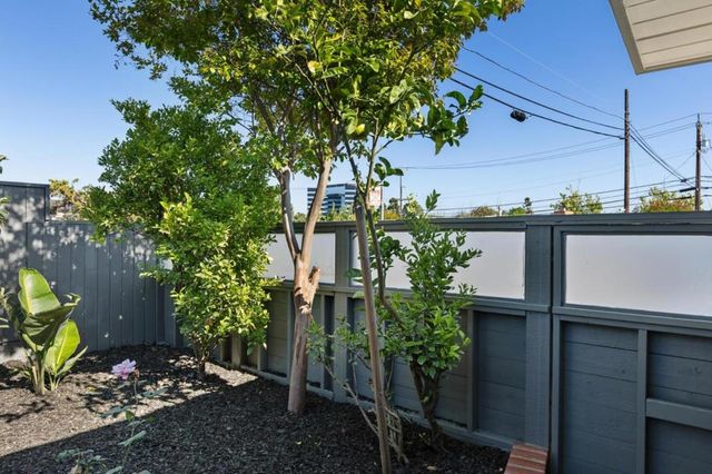 1751 Celeste Drive, San Mateo, CA 94402