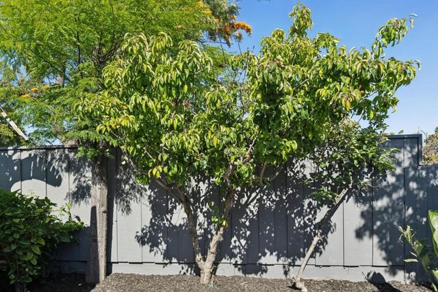 1751 Celeste Drive, San Mateo, CA 94402