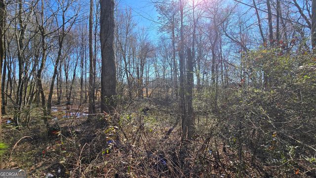 1114 Spring Creek Circle, Griffin, GA 30223