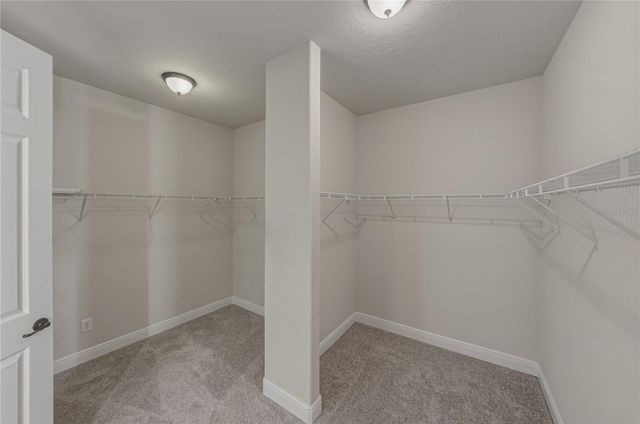 19099 LONG LAKE RANCH BOULEVARD, Lutz, FL 33558
