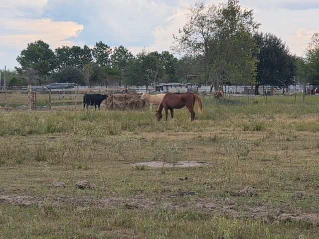 36847 0002 Richard Frey Road Drive, Hempstead, TX 77445