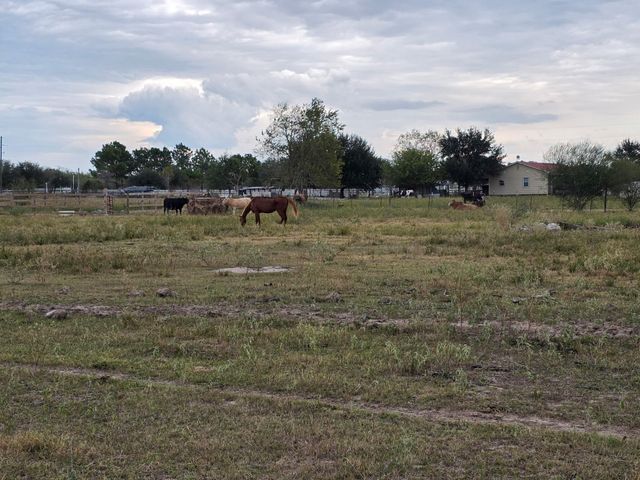 36847 0002 Richard Frey Road Drive, Hempstead, TX 77445