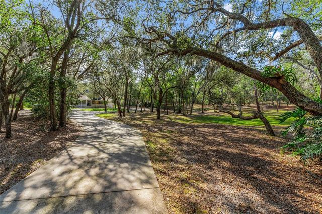 5100 GRIFFIN VIEW DRIVE, Lady Lake, FL 32159