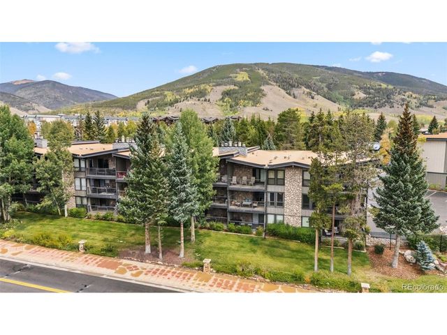 112 E La Bonte St 202, Dillon, CO 80435