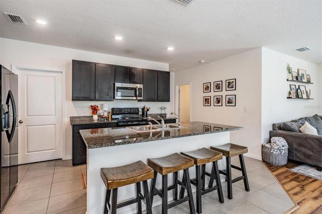 32699 DASHEL PALM LANE, Wesley Chapel, FL 33543