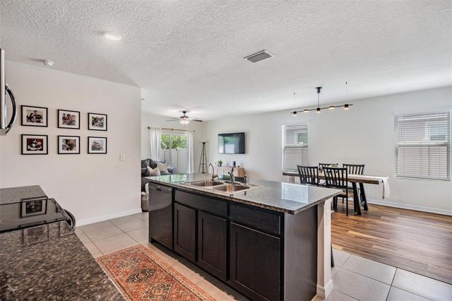 32699 DASHEL PALM LANE, Wesley Chapel, FL 33543