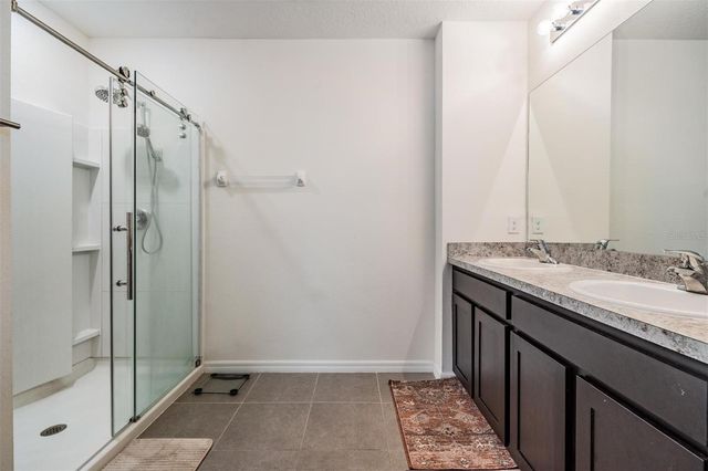 32699 DASHEL PALM LANE, Wesley Chapel, FL 33543