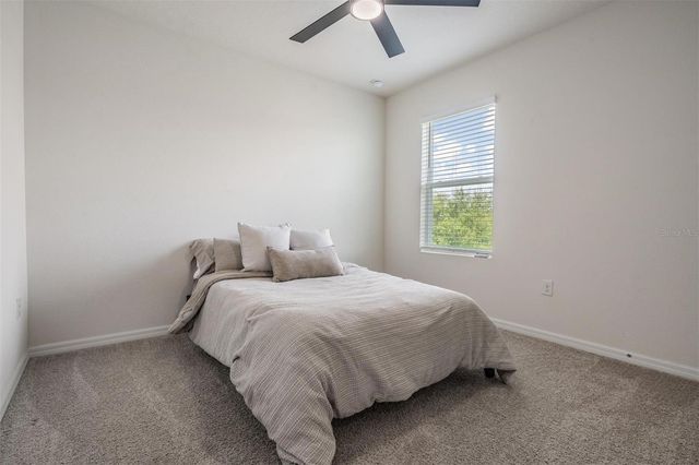 32699 DASHEL PALM LANE, Wesley Chapel, FL 33543