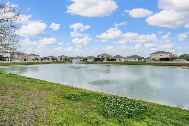 32699 DASHEL PALM LANE, Wesley Chapel, FL 33543