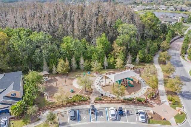 32699 DASHEL PALM LANE, Wesley Chapel, FL 33543