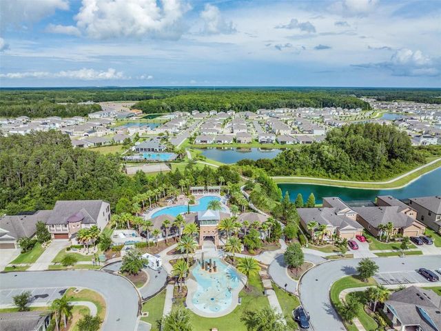 32699 DASHEL PALM LANE, Wesley Chapel, FL 33543