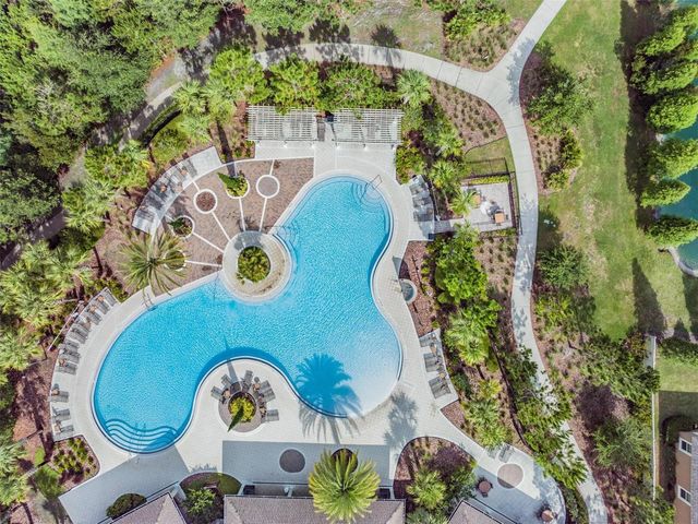 32699 DASHEL PALM LANE, Wesley Chapel, FL 33543