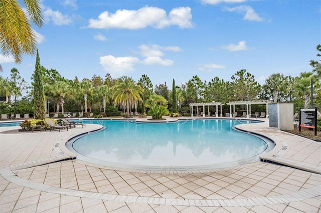 32699 DASHEL PALM LANE, Wesley Chapel, FL 33543