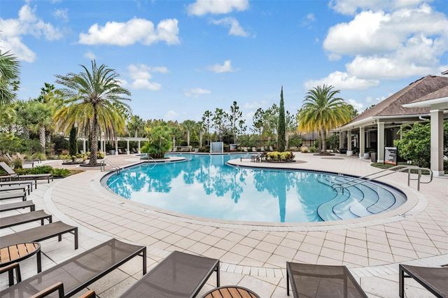 32699 DASHEL PALM LANE, Wesley Chapel, FL 33543