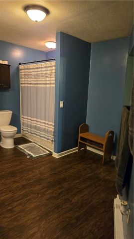 4432 County Route 1, Campbell, NY 14821