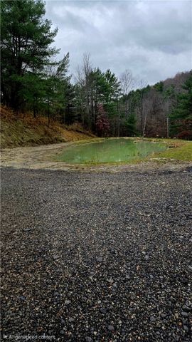 4432 County Route 1, Campbell, NY 14821