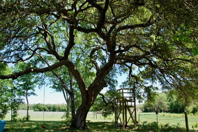 4255 Fm 957, Schulenburg, TX 78956
