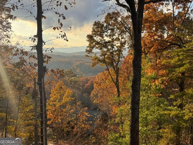 664 Fox Run Drive, Blue Ridge, GA 30513