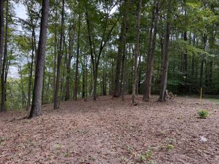 Lot 7 & 8 Whittle Lane, Russell Springs, KY 42642