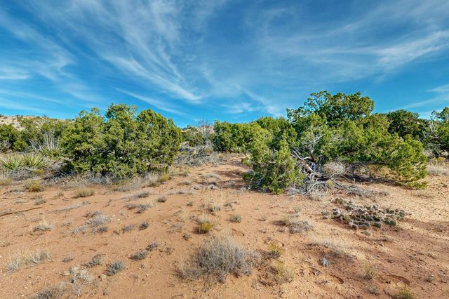 268 Star Meadow Road, Placitas, NM 87043