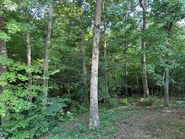 184 McDuff Ln, Camden, TN 38320