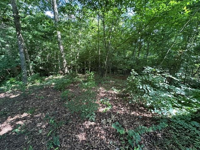 184 McDuff Ln, Camden, TN 38320