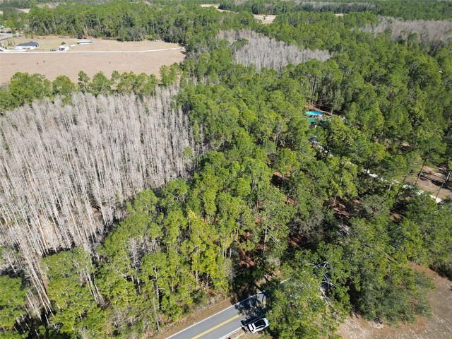 GREEN POND ROAD, Polk City, FL 33868