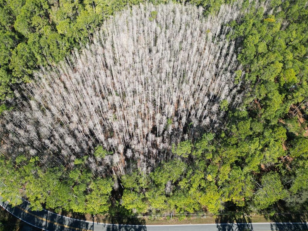 Image 3 of property listing at GREEN POND ROAD, Polk City, FL 33868