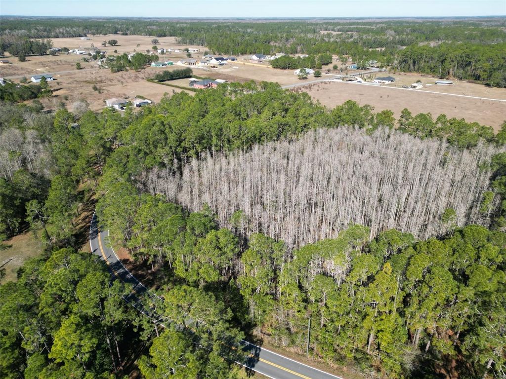 Image 5 of property listing at GREEN POND ROAD, Polk City, FL 33868