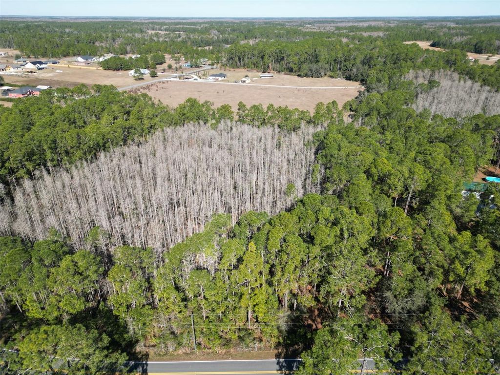 Image 6 of property listing at GREEN POND ROAD, Polk City, FL 33868