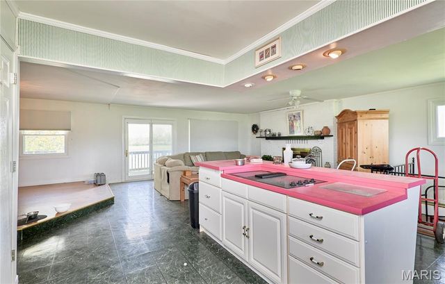 196 Absolut Lane, Troy, MO 63379